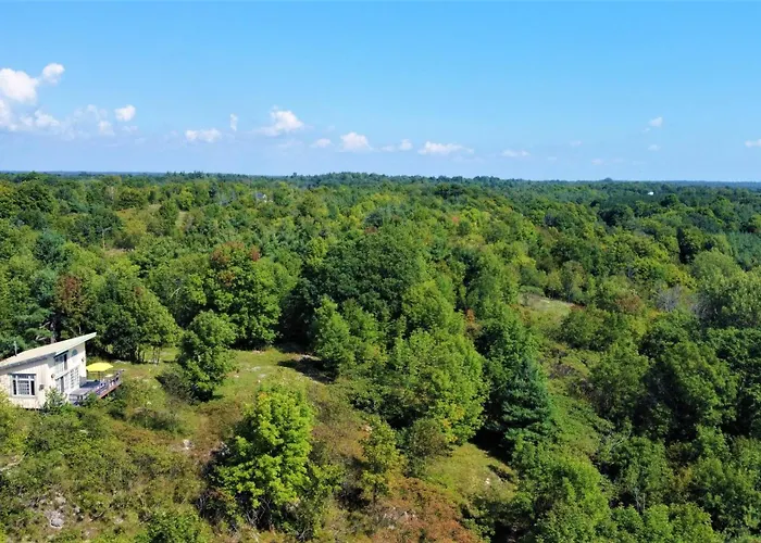 Longview Spectacular Forest Views On 88 Acres